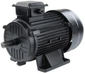 SILNIK ELEKTRYCZNY TRÓJFAZOWY 3 FAZY SIŁA 3000RPM 650Lmin 4KM 400V_2.jpg