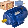 silnik-elektryczny-22kw-380v-kd1813_1.jpg