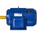 silnik-elektryczny-22kw-380v-kd1813_7.jpg