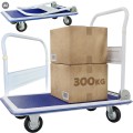 Wózek magazynowy platformowy 300kg_1.jpg