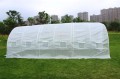 big_BP-85982.jpg