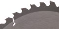 66448.jpg